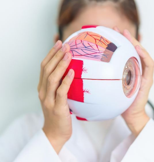 Retina Examination