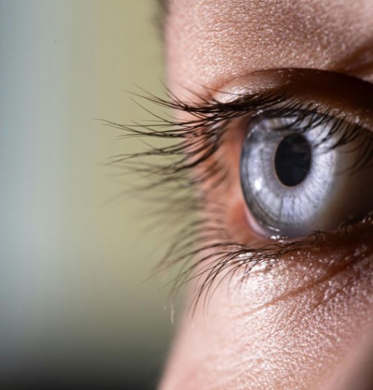 Diabetic Retina Care
